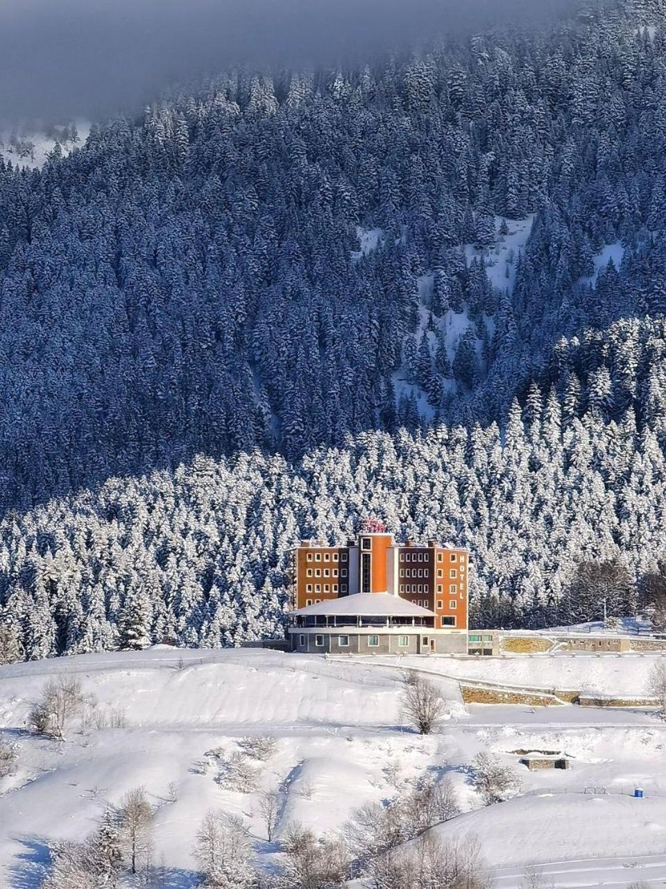 Black Forest Hotel Savsat Exteriér fotografie